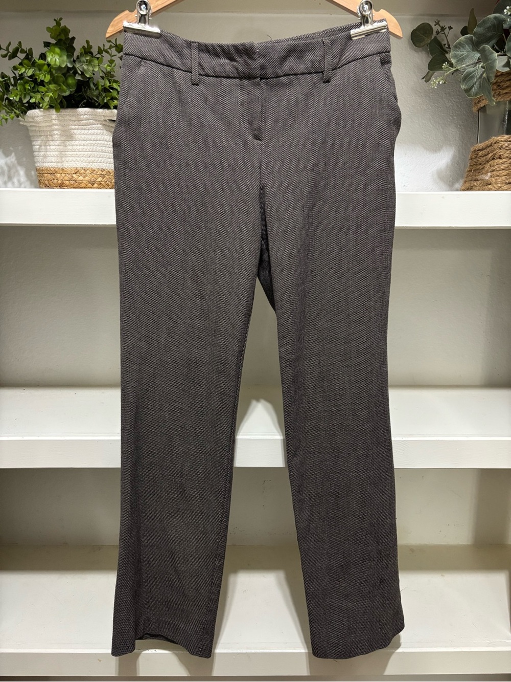 Fashion Bug Women's Straight-Leg Dress Pants in Charcoal Size 8
